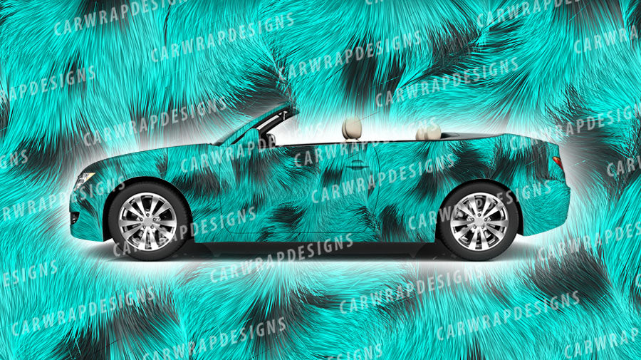 Calico Cat Fur | Teal and Black Background
